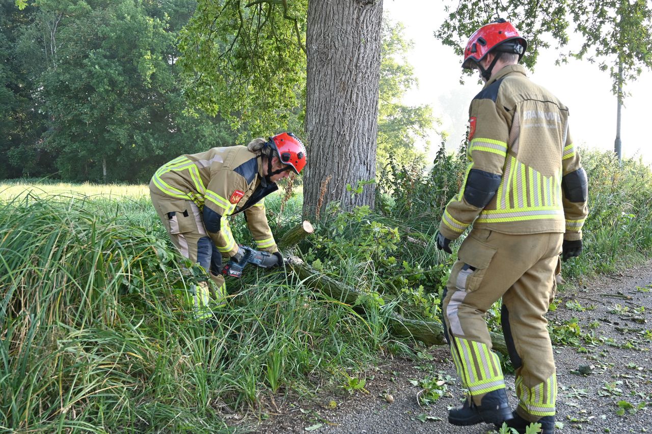Foto: Perry Roovers / Persbureau Heitink