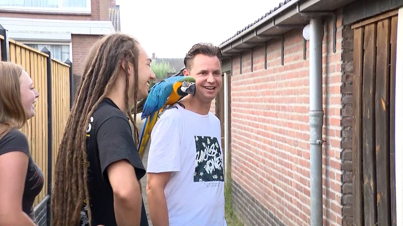 Stefan laat Oro op zijn schouder zitten (foto: Omroep Brabant).