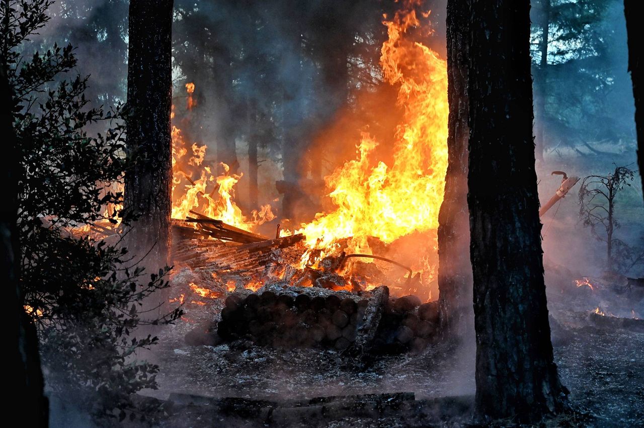 Foto: Toby de Kort/Persbureau Heitink.