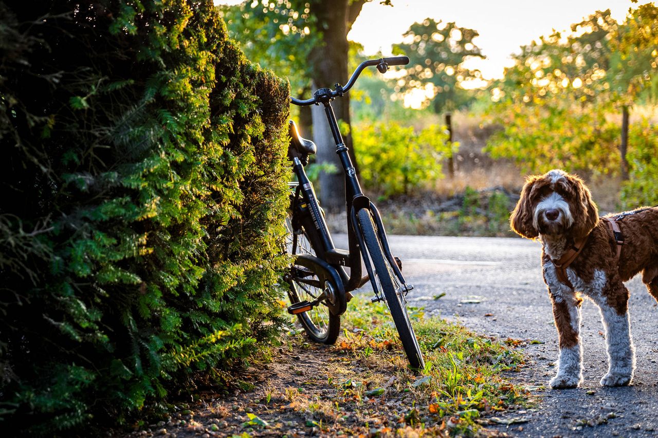 Foto: Lucas Lammers / Persbureau Heitink