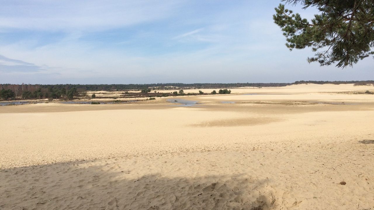 Brabantse Sahara (foto: Frans Kapteijns).