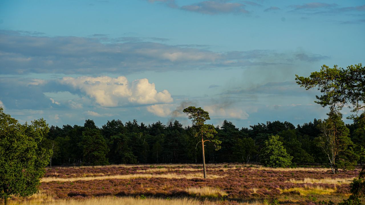 Een rookwolk boven het gebied (foto: Erik Haverhals / Persbureau Heitink).
