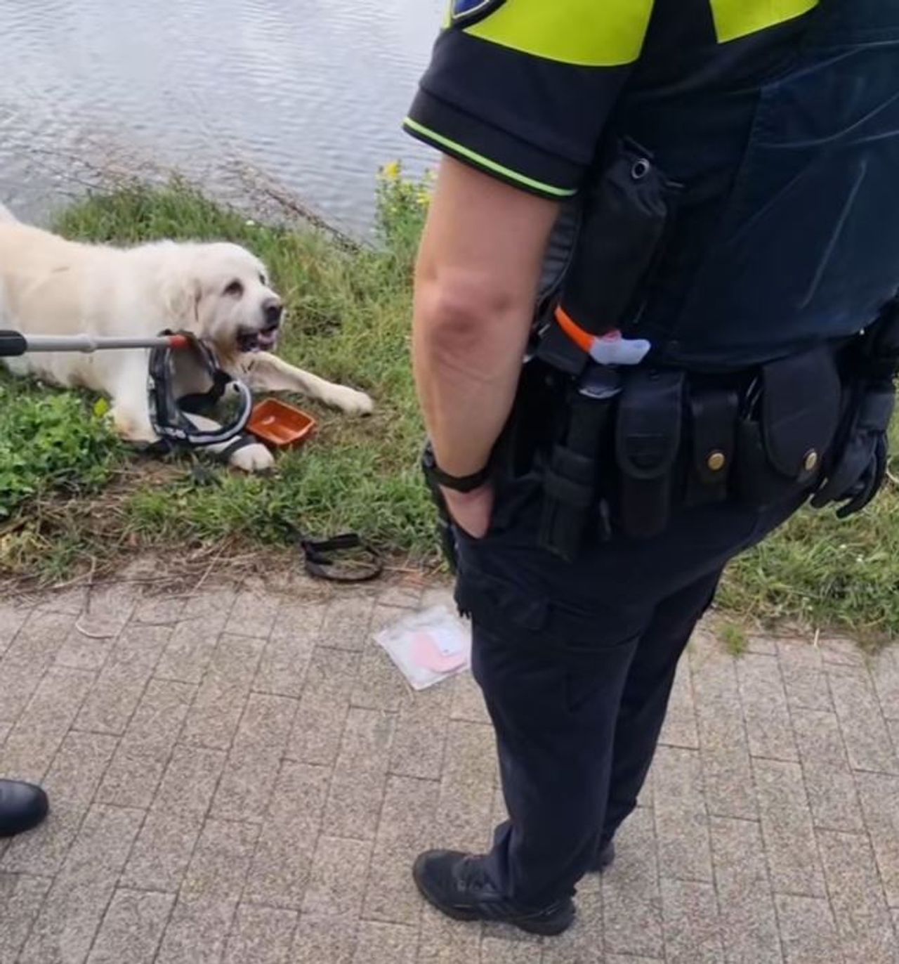 Foto: Instagram politie Tilburg Centrum.