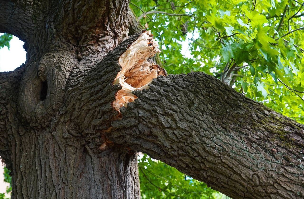 Foto: Bart Meesters/Persbureau Heitink.
