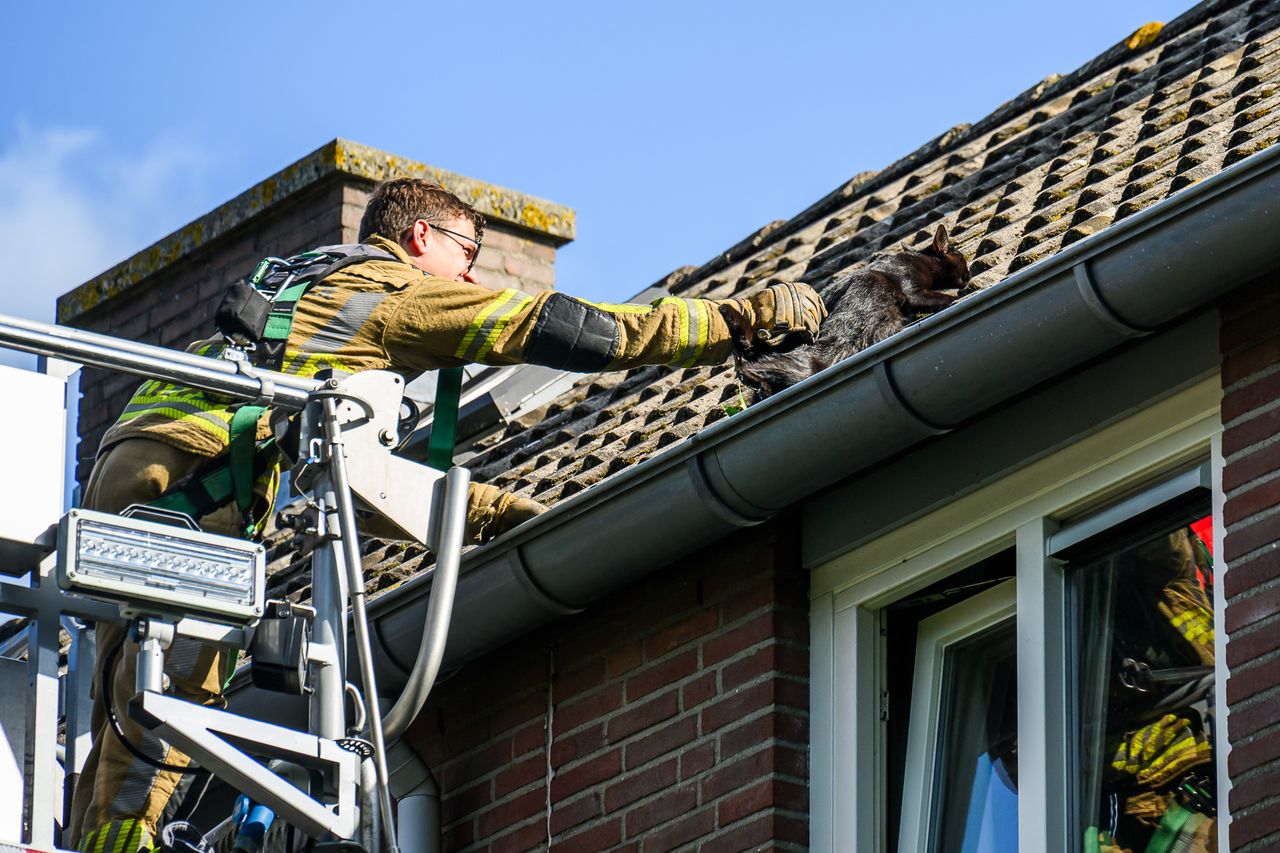 Foto: Tom van der Put/Persbureau Heitink.