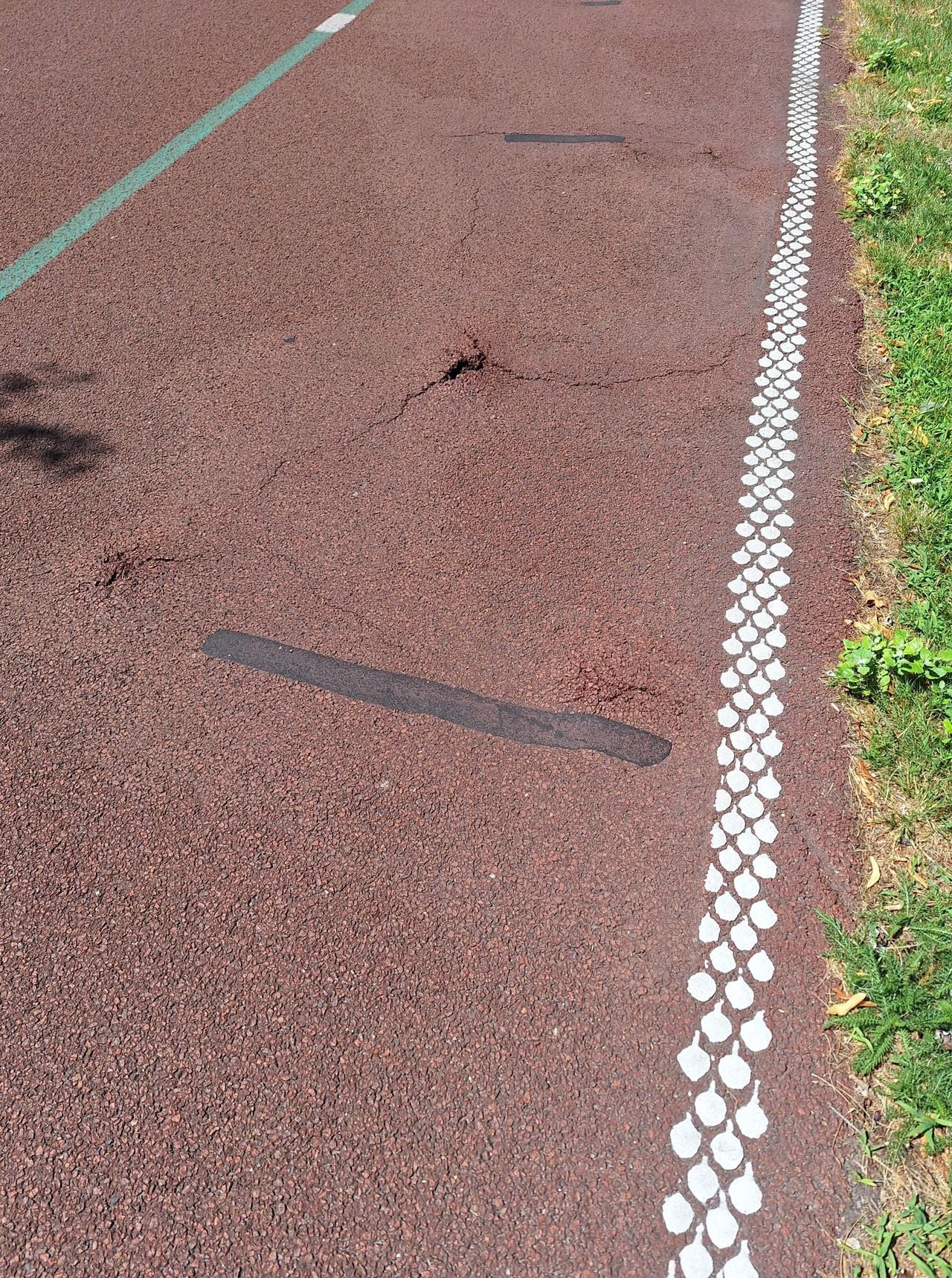 Hobbels in het Halve Zolenpad (foto: Eigje van der Mast).