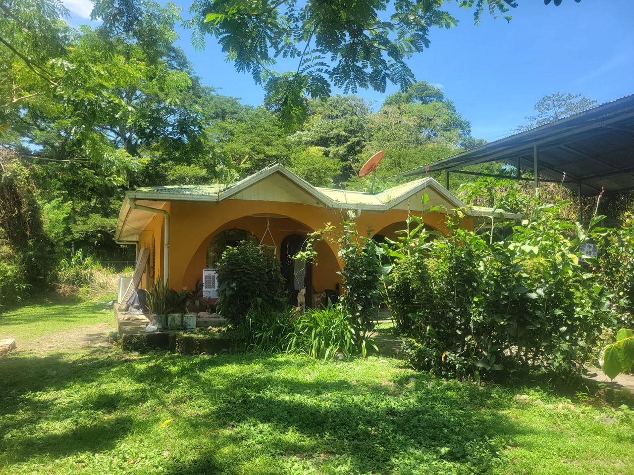 Het onderkomen van Marlies en de katten. (foto: Marlies de Louw).