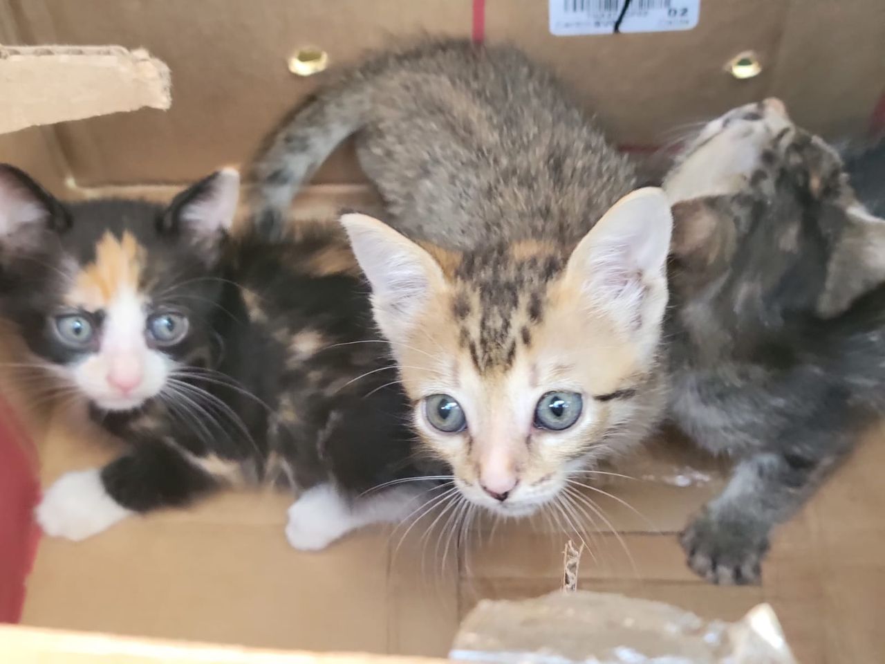 Foto: Marlies de Louw.