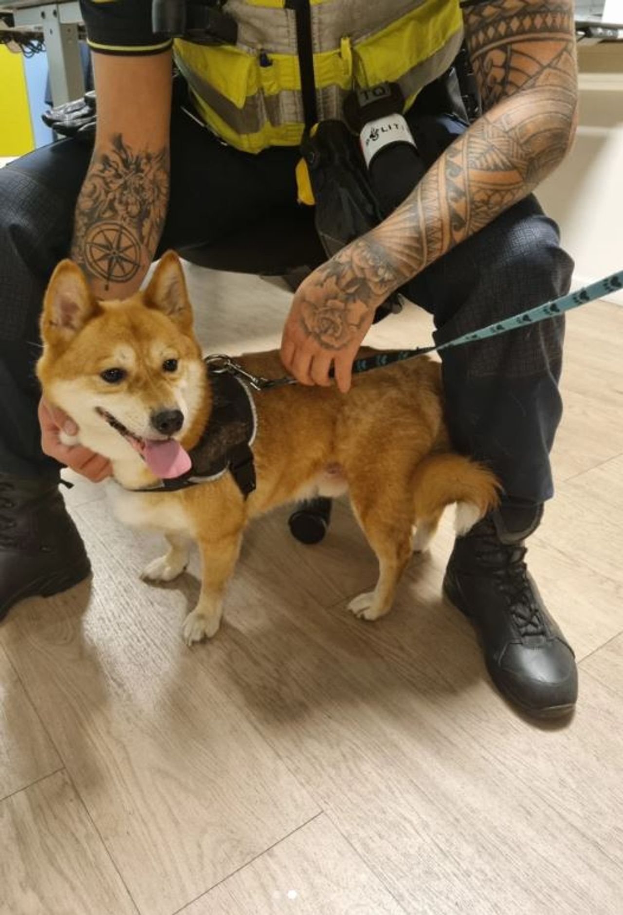 Foto: Instagram politie Helmond.