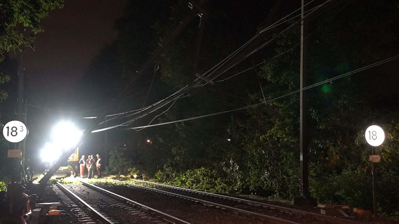 Er is de hele nacht door gewerkt om de boom te verwijderen (Foto: Persbureau Heitink/ Bart Meesters.)