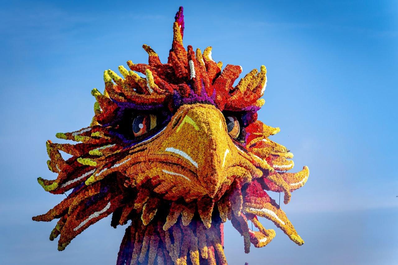 De kop van de feniks op de wagen (foto: Eye4images B.V. / Marcel van Dorst).