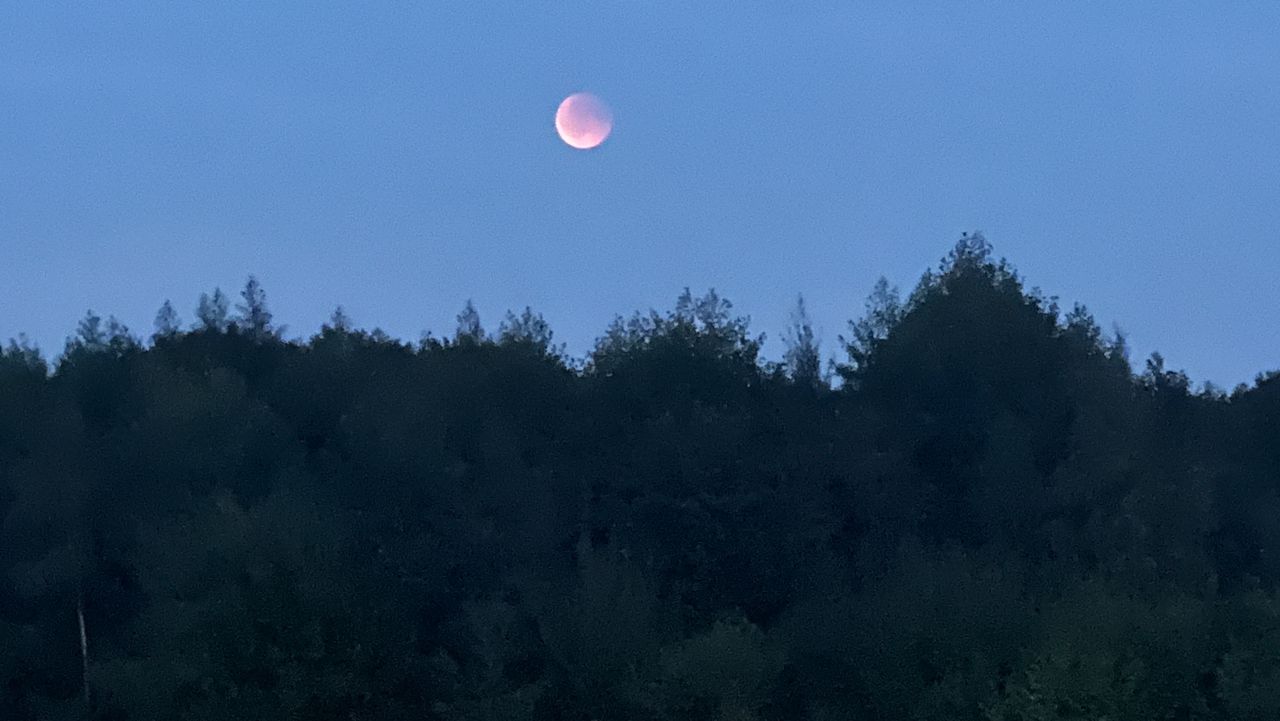 De bloedmaan vanuit Mierlo (foto: Bas van Vrede).