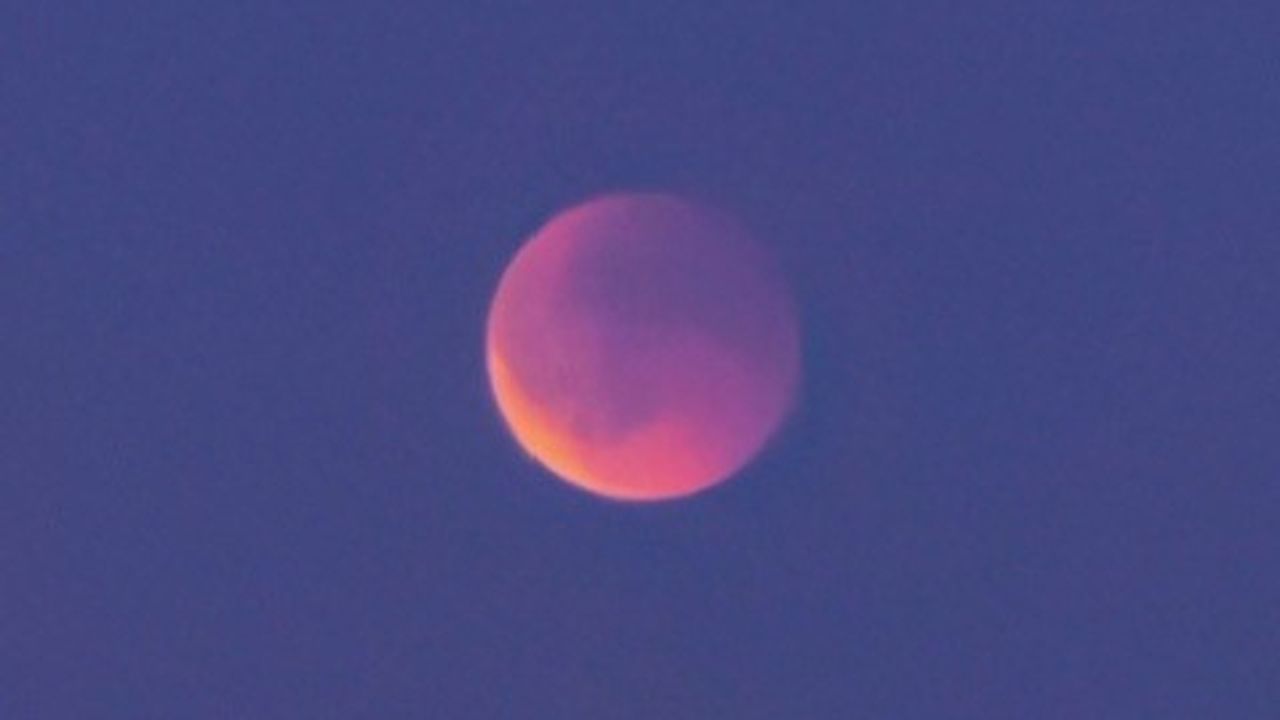 De maan vanaf de dijk bij Engelen in Den Bosch (foto: Lonneke Heijmans).