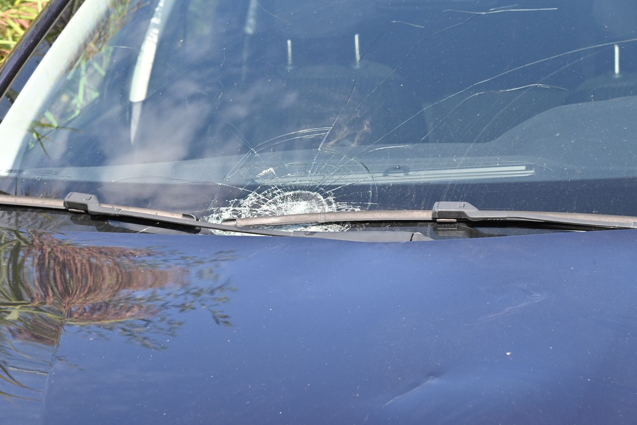 Foto: Perry Roovers/Persbureau Heitink.