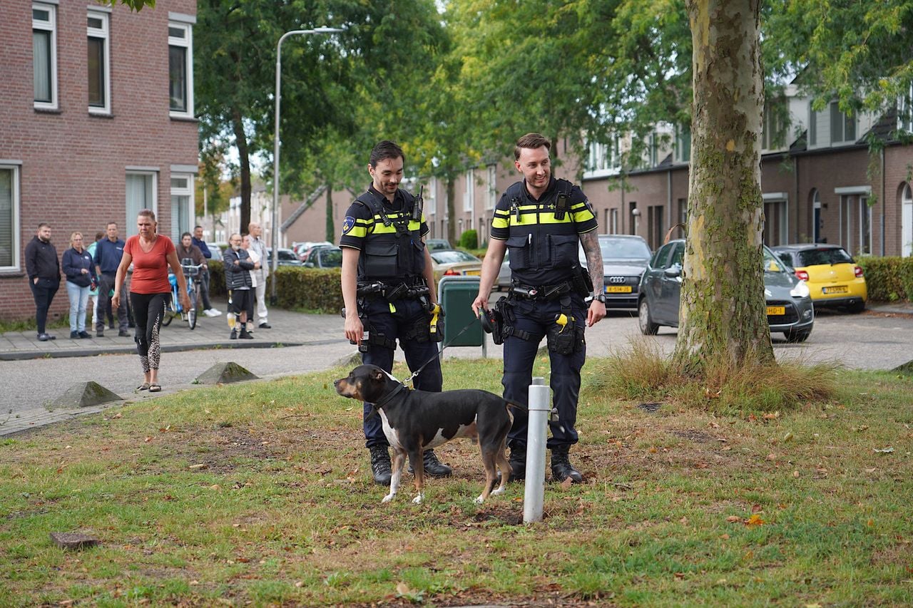 Foto: Jeroen Stuve/Persbureau Heitink. 