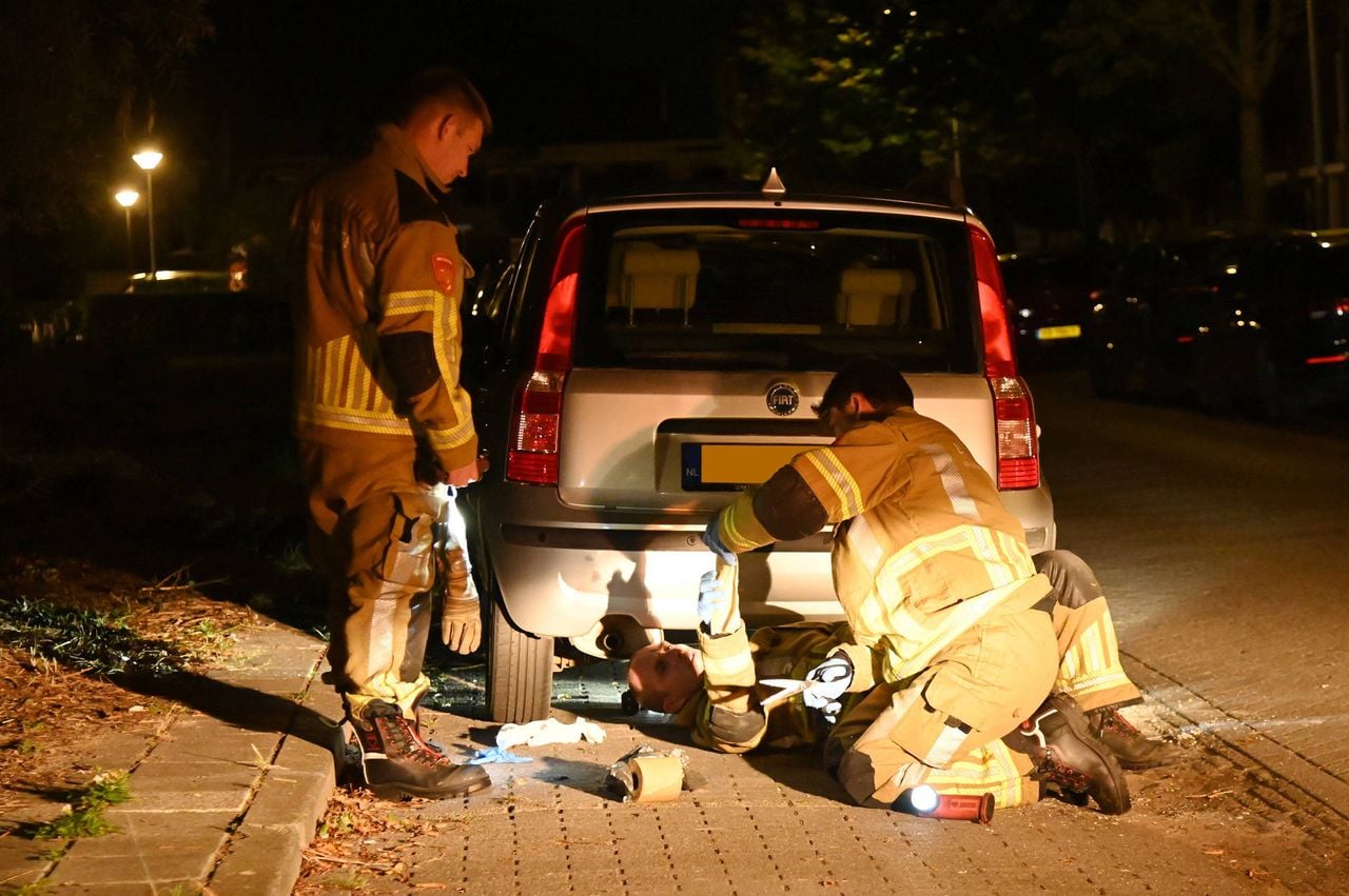 Foto: Perry Roovers / Persbureau Heitink 