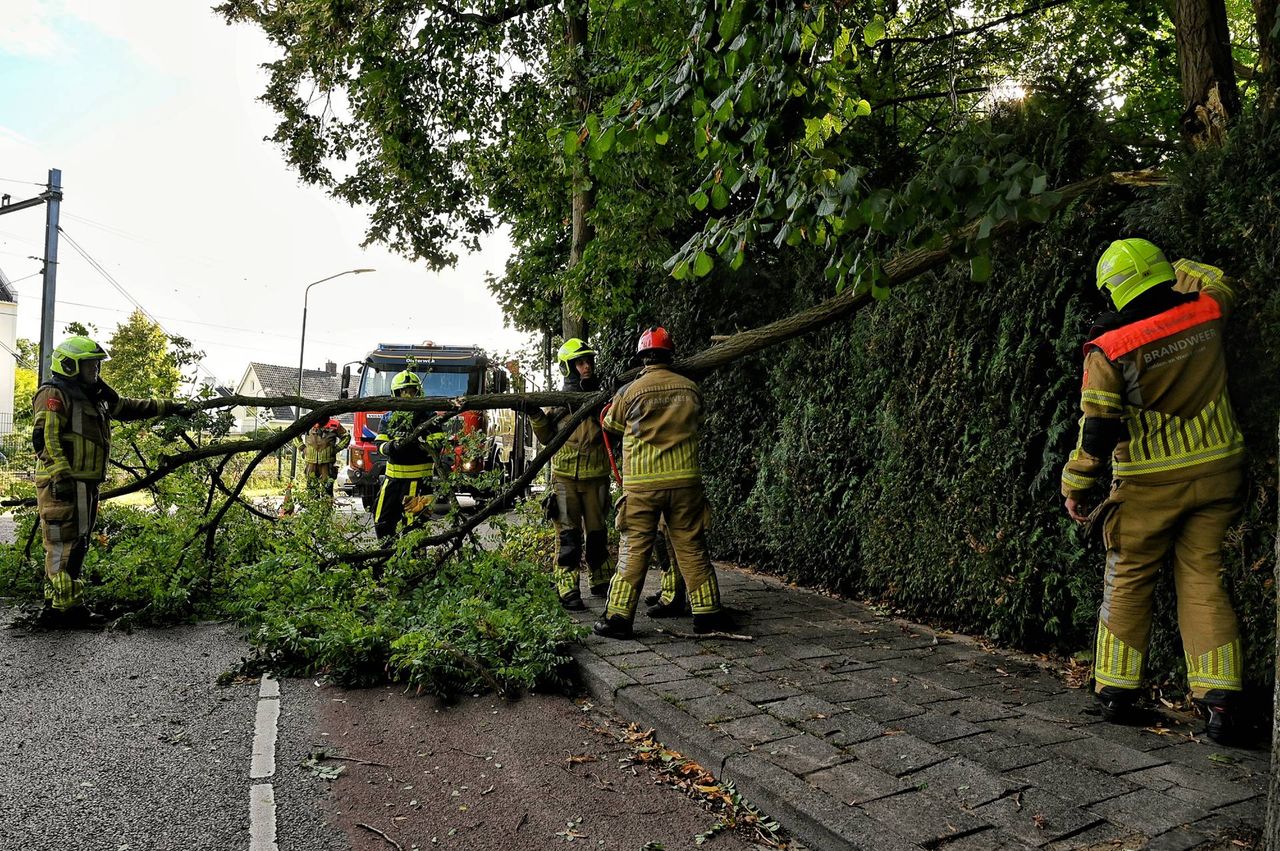 De brandweer ruimt de tak in Oisterwijk op (foto: Persbureau Heitink).