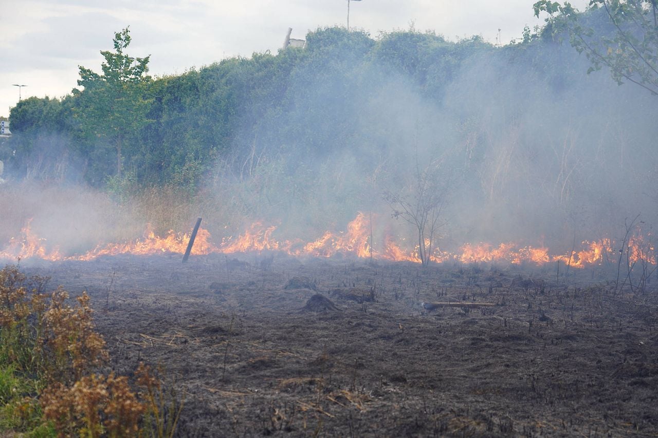 Foto: Jeroen Stuve / Persbureau Heitink