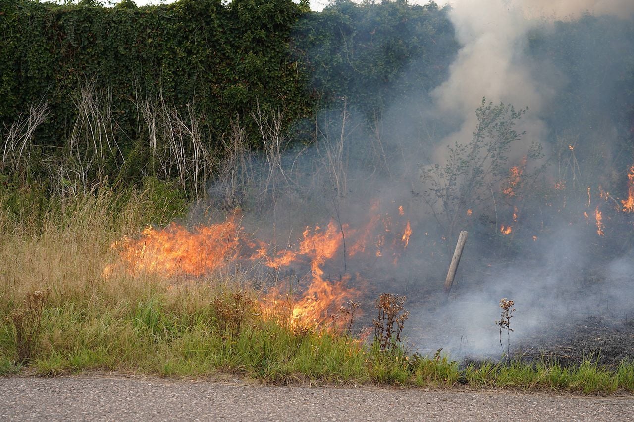 Foto: Jeroen Stuve / Persbureau Heitink