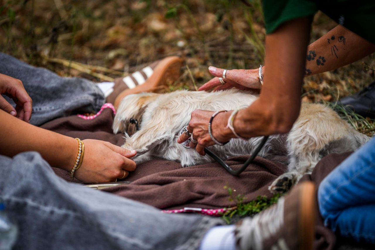 Foto: Persbureau Heitink