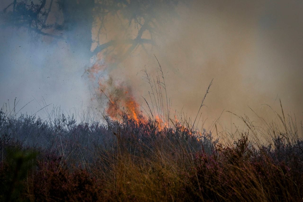 Foto: Persbureau Heitink.