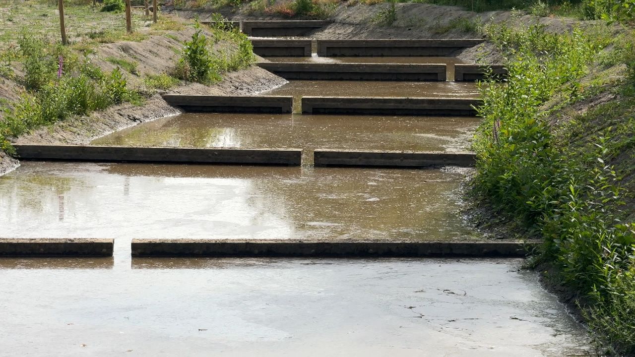 Een deel van de enorme trap voor vissen (foto: Raymond Merkx).
