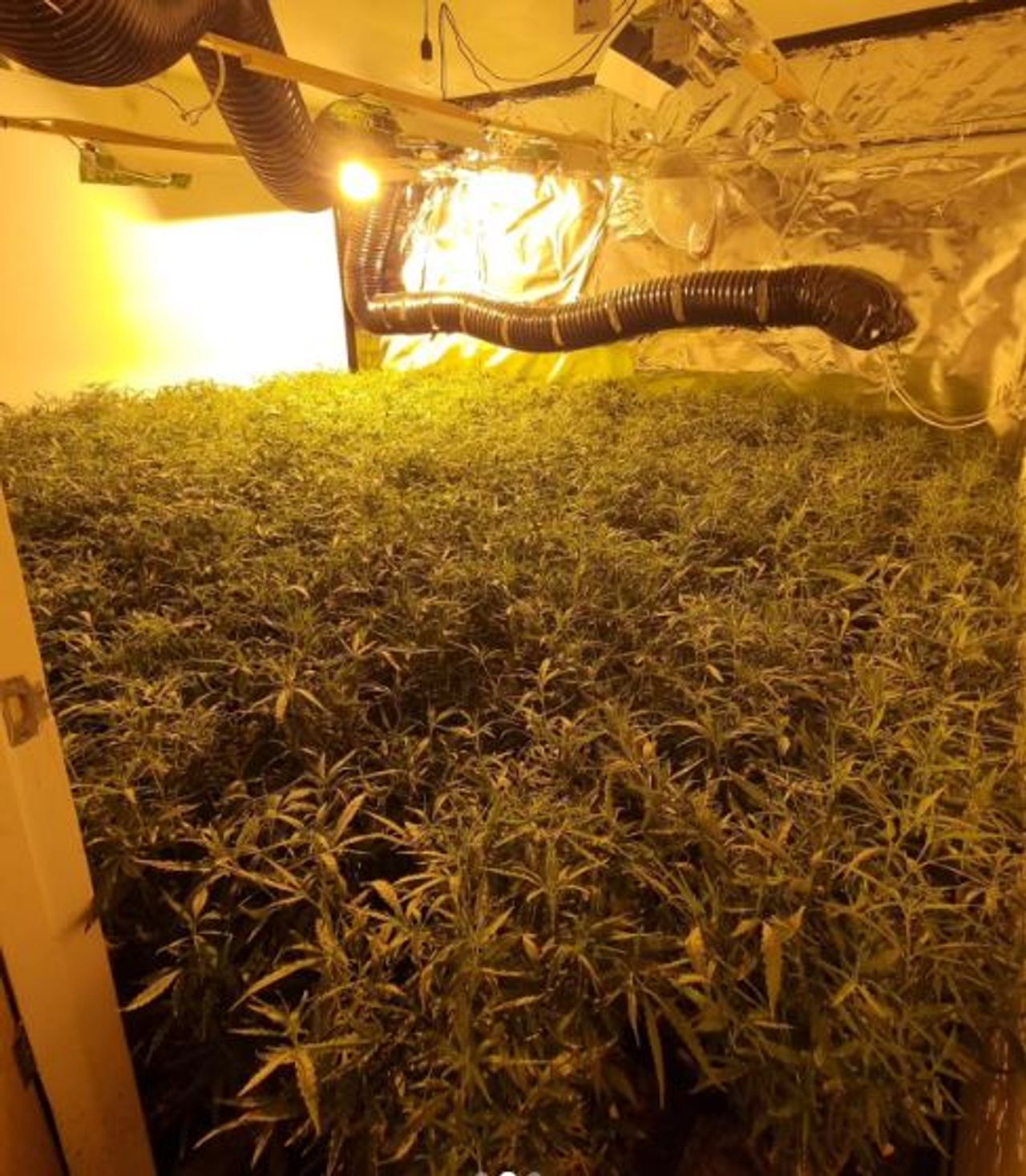 Foto: Instagram politie Markdal.