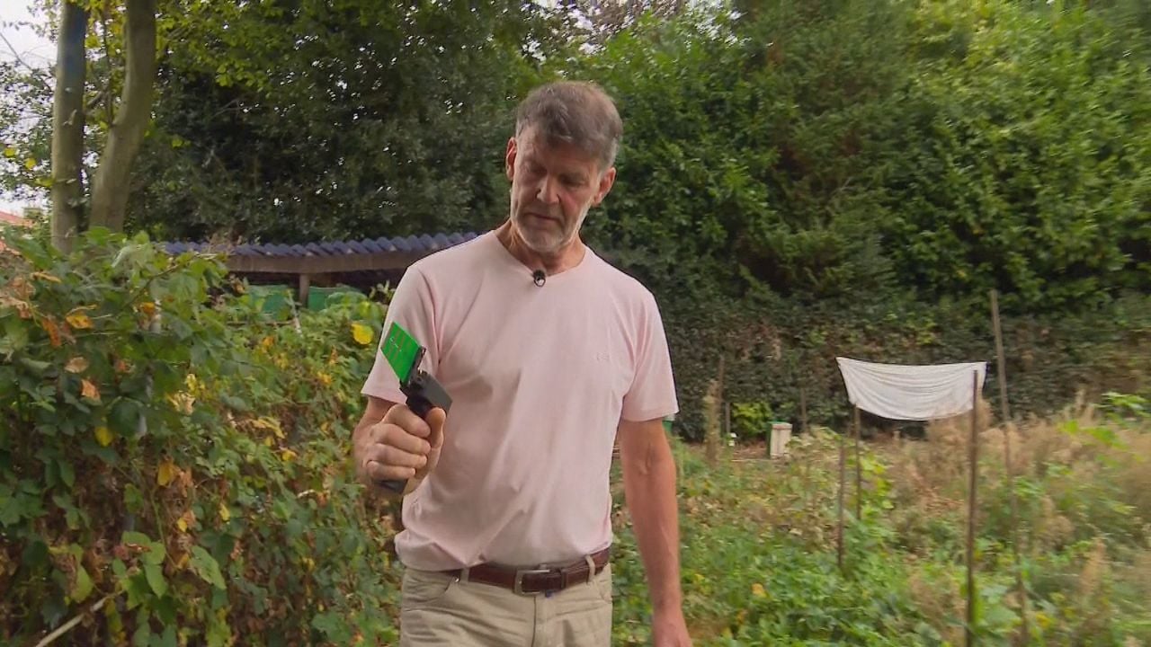 Met een soort pistooltje kan de hoornaar getraceerd worden (foto: Omroep Brabant).