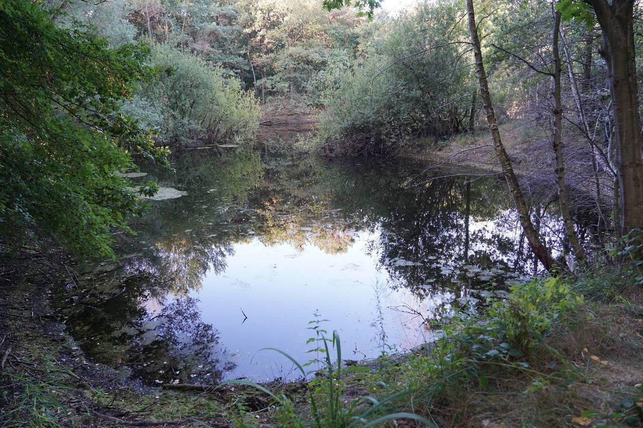 Foto: Jeroen Stuve/Persbureau Heitink.