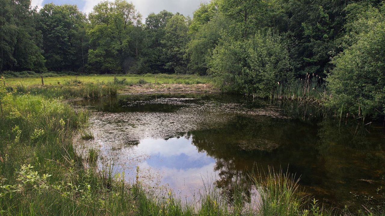 De zevenhutten (foto: Brabants landschap).
