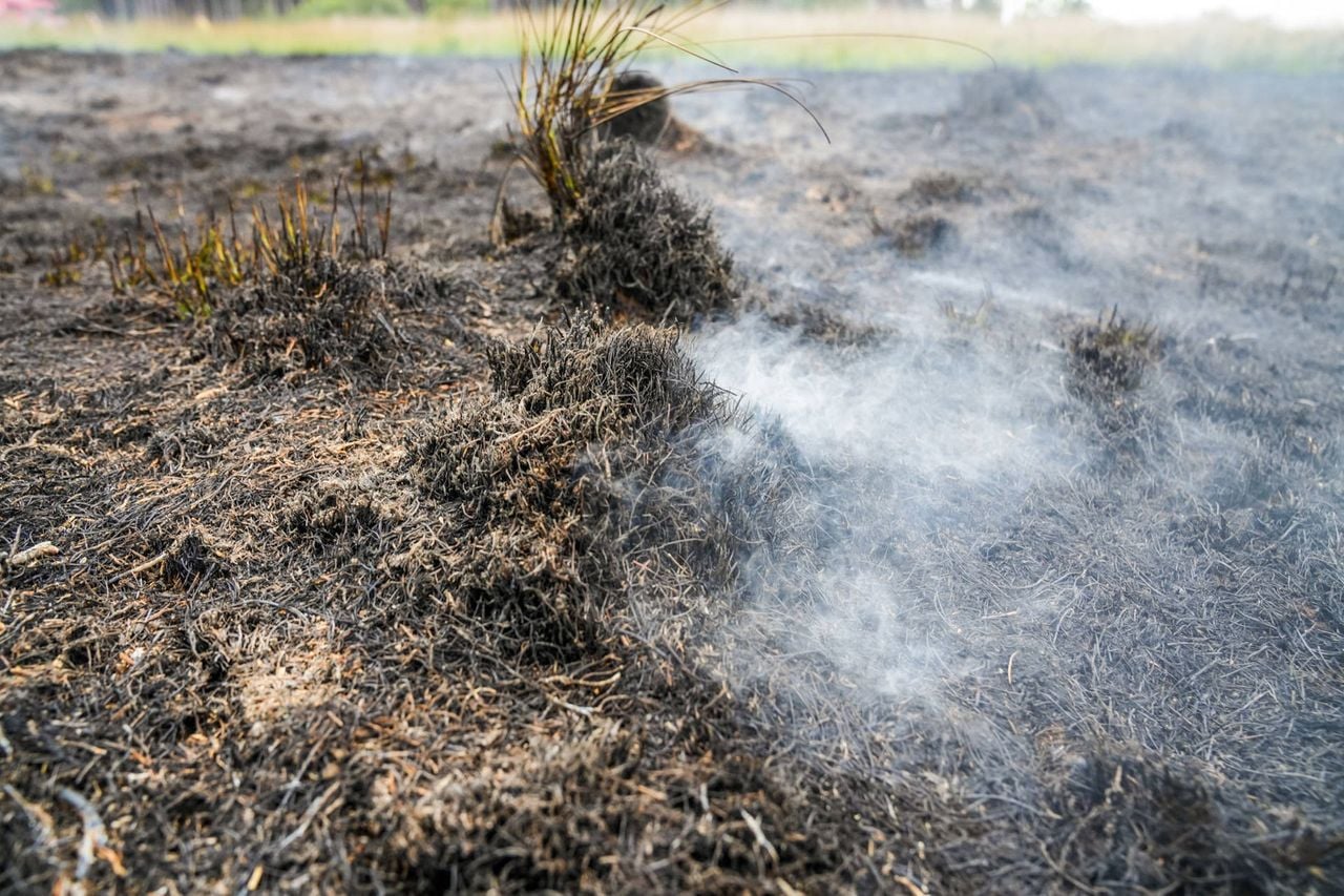 Foto: Dave Hendriks / Persbureau Heitink.