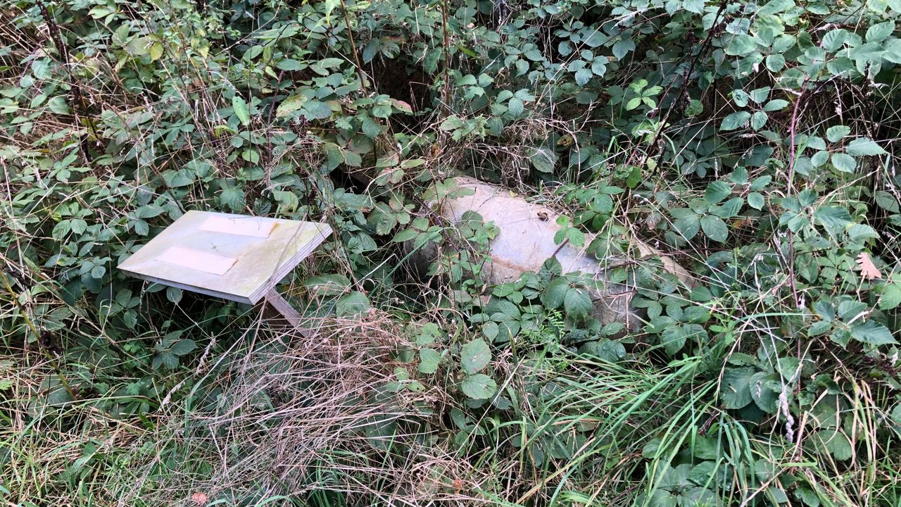 Duitse oefenbom van beton tussen de bramenstruiken Fragment vliegtuigbom die ooit gevonden is op vliegbasis Eindhoven (foto: Willem-Jan Joachems)