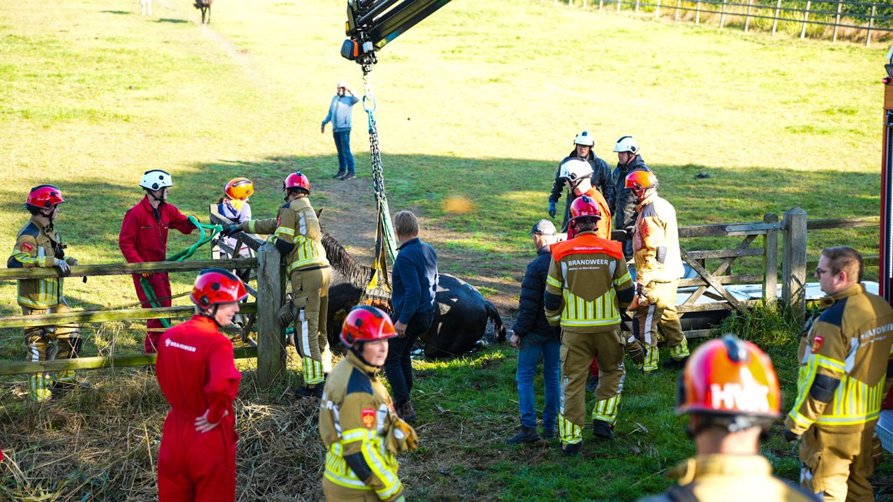 Foto: Erik Haverhals/Persbureau Heitink 