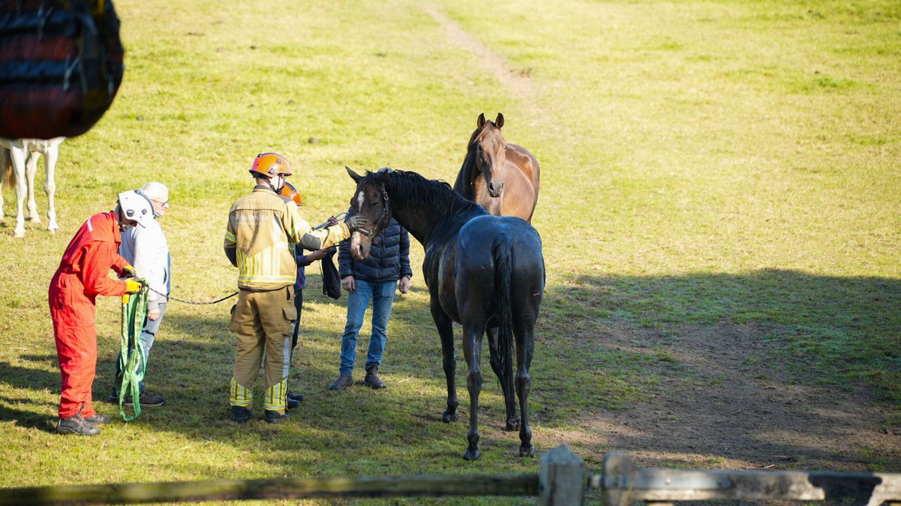 Foto: Erik Haverhals/Persbureau Heitink 