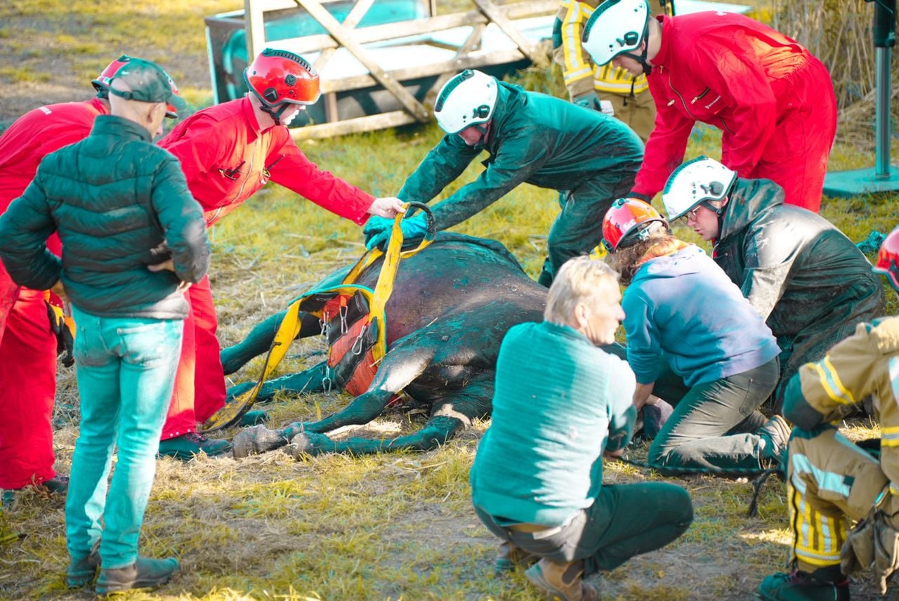 Foto: Erik Haverhals/Persbureau Heitink 