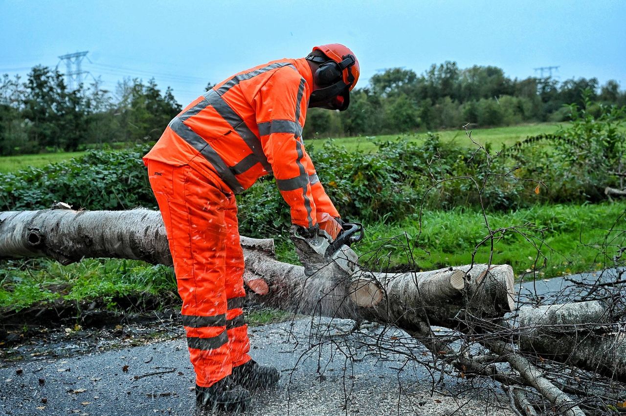 De brandweer zaagde de boom in stukken (foto: Toby de Kort/Persbureau Heitink).