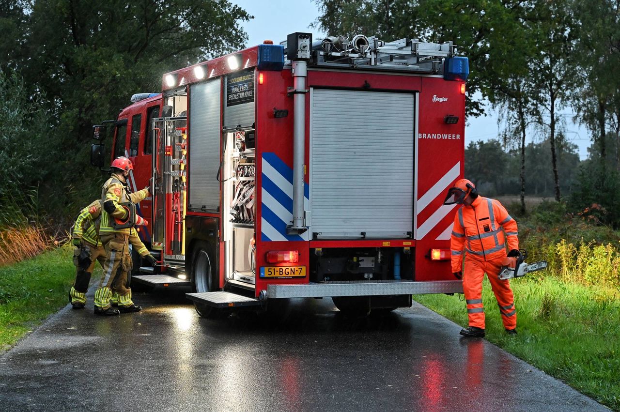 De brandweer werd ingeschakeld vanwege de boom op de weg in Berkel-Enschot (foto: Toby de Kort/Persbureau Heitink).