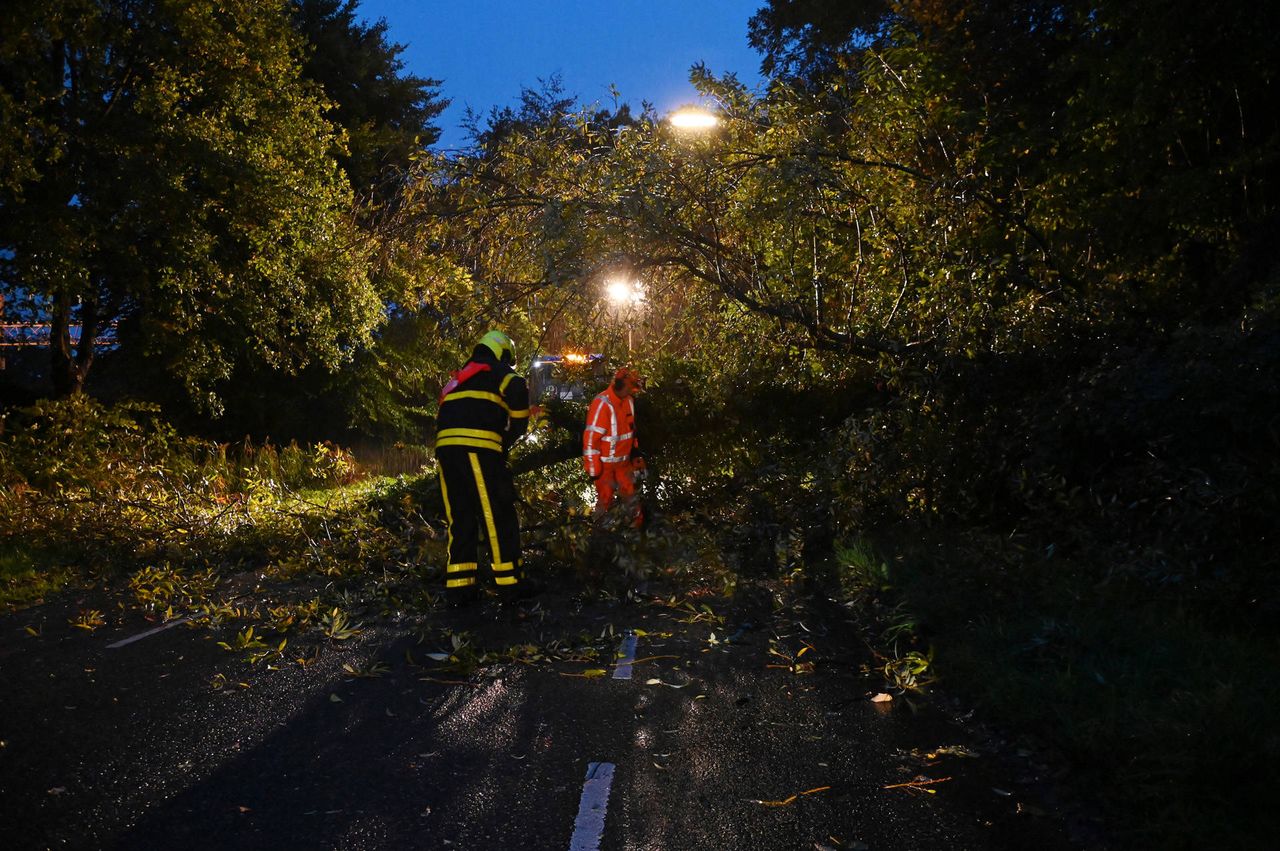 Omgewaaide boom in Galder (foto: Perry Roovers/Persbureau Heitink).