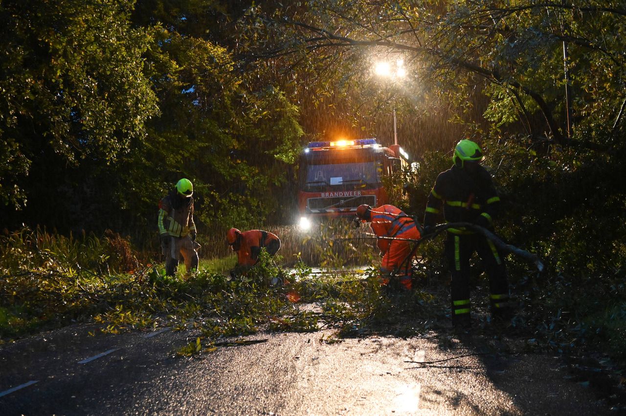 Omgewaaide boom in Galder (foto: Perry Roovers/Persbureau Heitink).