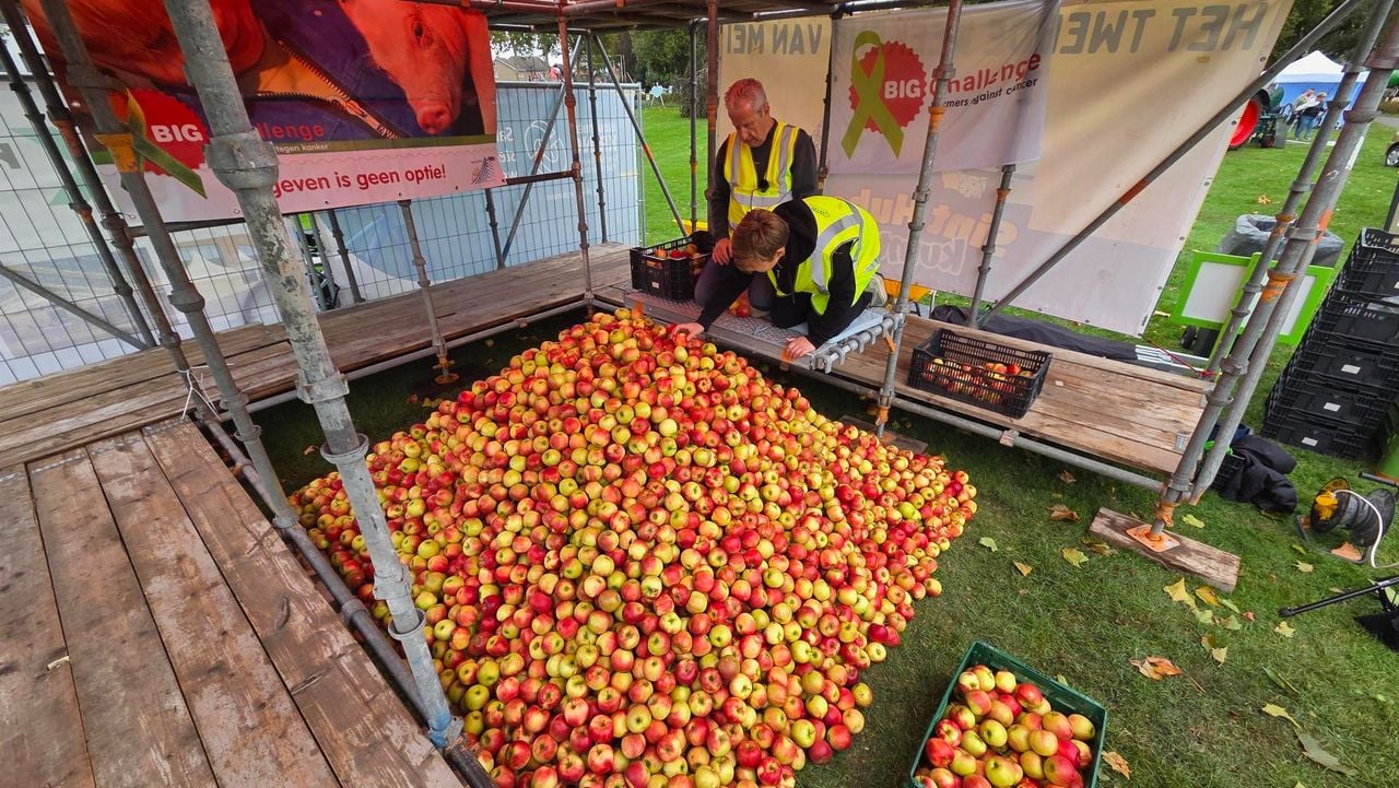De stapel appels (foto: Noël van Hooft).