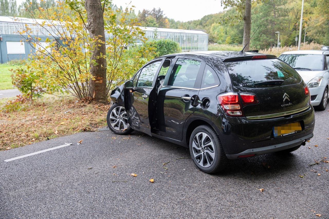 (Foto: Christian Treats / Persbureau Heitink.)