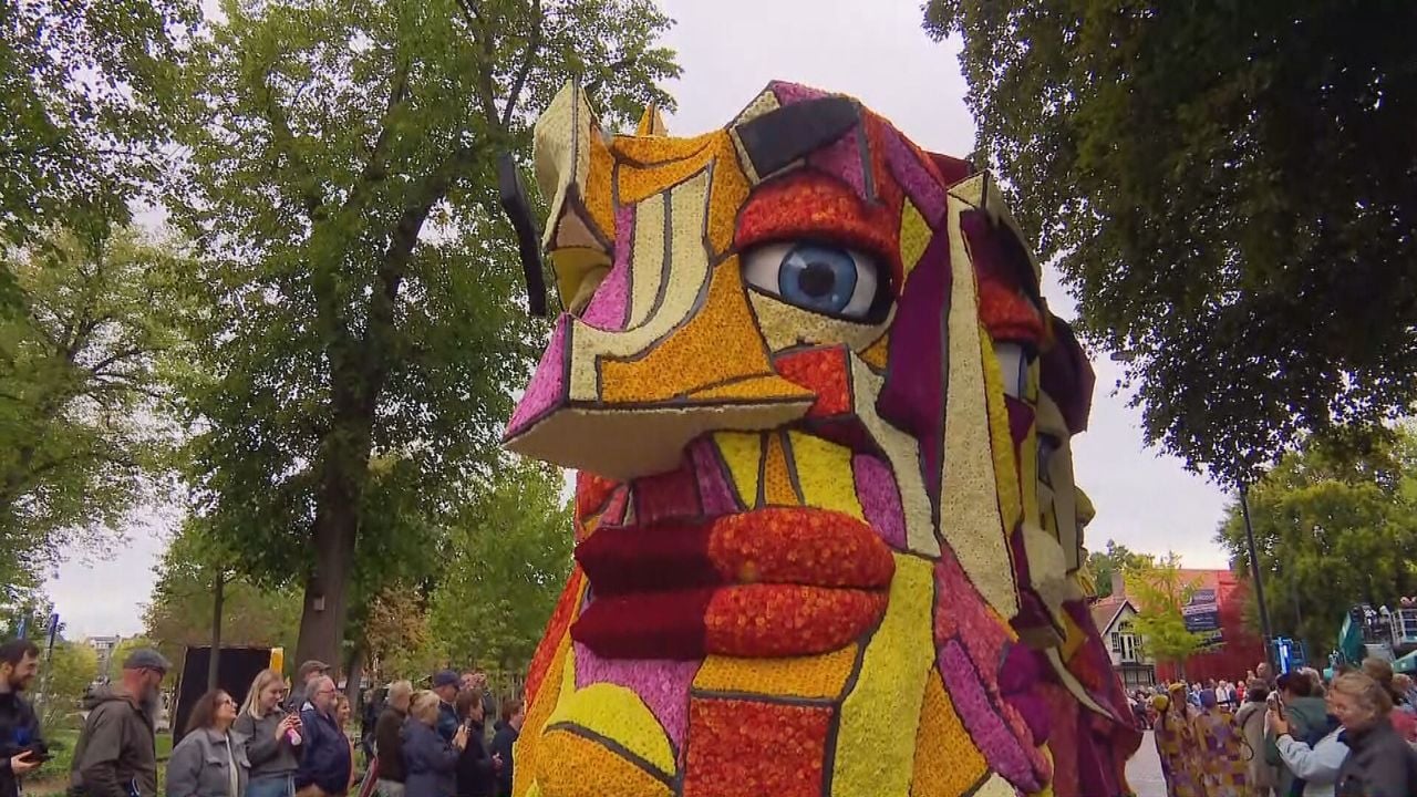 De winnende creatie. 