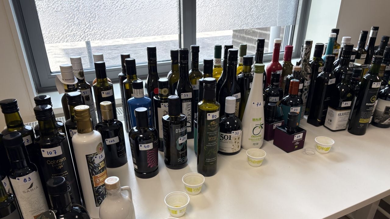 Aan olijfolie geen gebrek (foto: Wilco Zonneveld).