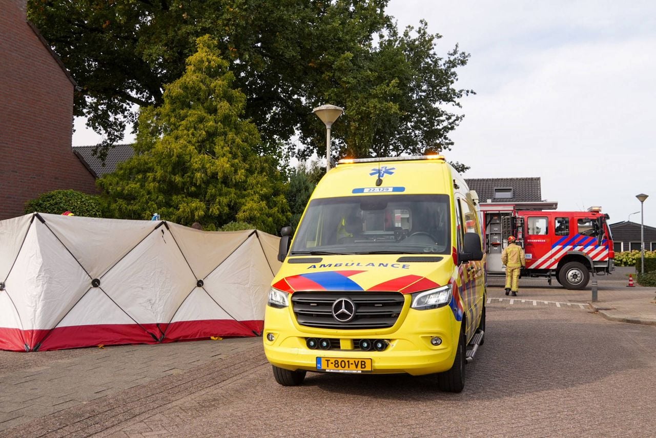 Foto: Harrie Grijseels/Persbureau Heitink.
