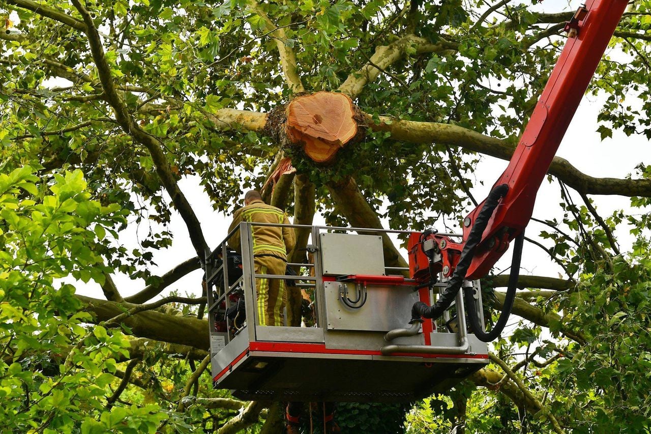 Foto: Rico Vogels / Persbureau Heitink.
