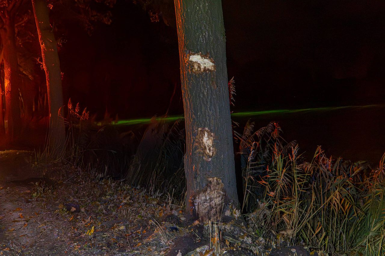 Foto: Harrie Grijseels/Persbureau Heitink.