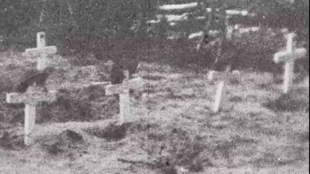De veldgraven van de gesneuvelde Canadezen aan de Zoomvlietweg, Wouwse Plantage (fragment uit de militaire film)