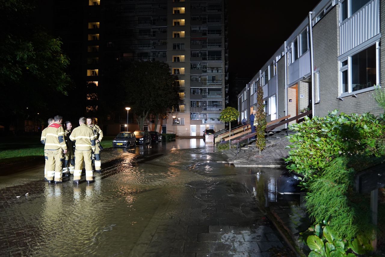 (Foto: Bart Meesters / Persbureau Heitink.)