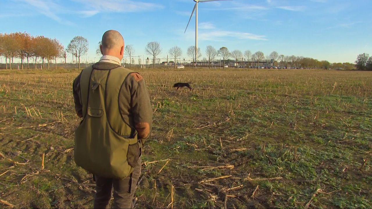 Jeroen zet Willem aan het werk (foto: Wilco Zonneveld).