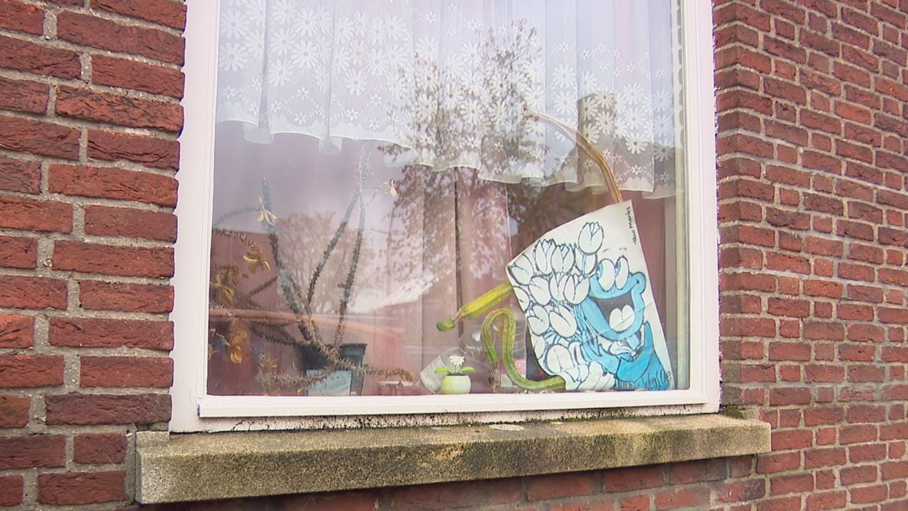 De cactussen voor het raam zijn dood en de gordijnen zijn dicht (beeld: Omroep Brabant).